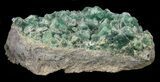 Fluorite & Galena Cluster - Rogerley Mine #60369-1